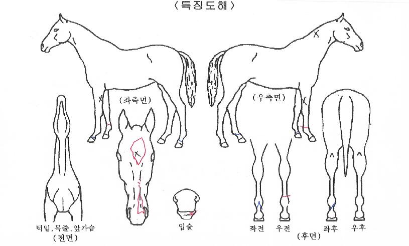 Ƽ�����÷����� ����,���,�޸�,�λ�,�ٸ��� Ư¡����