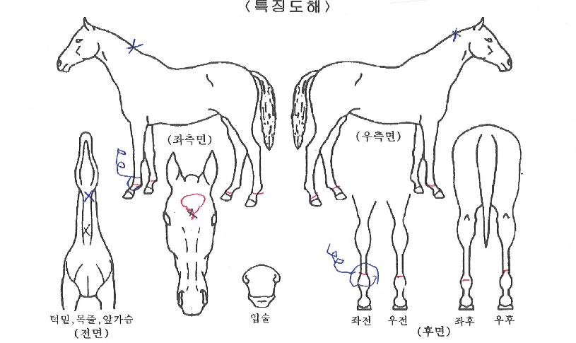 ����ũ��Ʈ�� ����,���,�޸�,�λ�,�ٸ��� Ư¡����