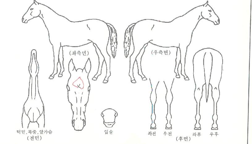 �������� ����,���,�޸�,�λ�,�ٸ��� Ư¡����