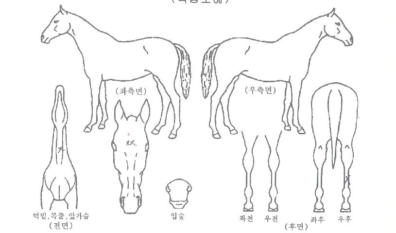 �������� ����,���,�޸�,�λ�,�ٸ��� Ư¡����