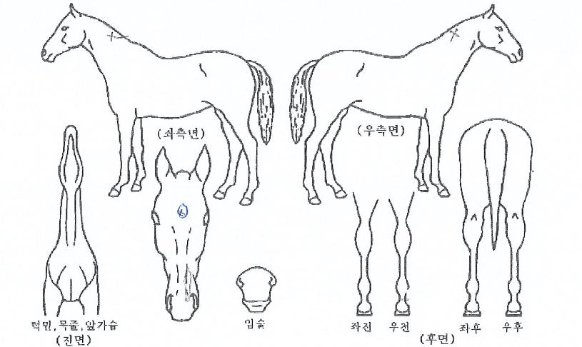 �������� ����,���,�޸�,�λ�,�ٸ��� Ư¡����