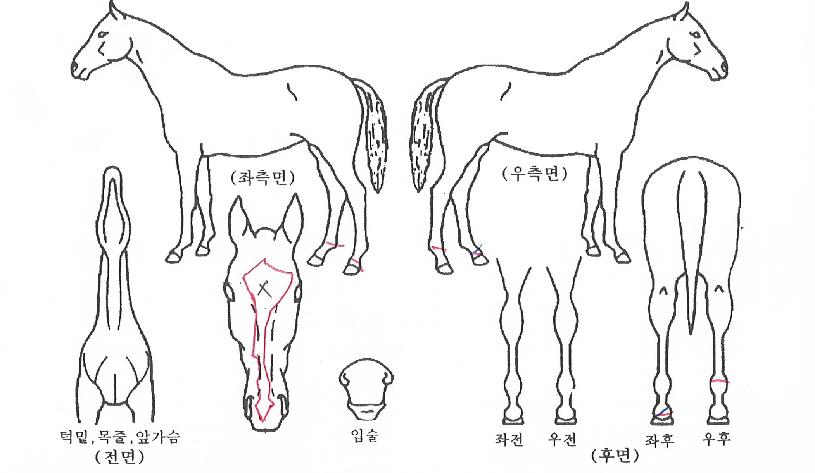 ���꿡�̽��� ����,���,�޸�,�λ�,�ٸ��� Ư¡����