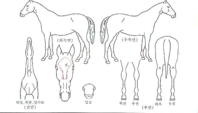 ȭ��Ʈ�������� ����,���,�޸�,�λ�,�ٸ��� Ư¡����