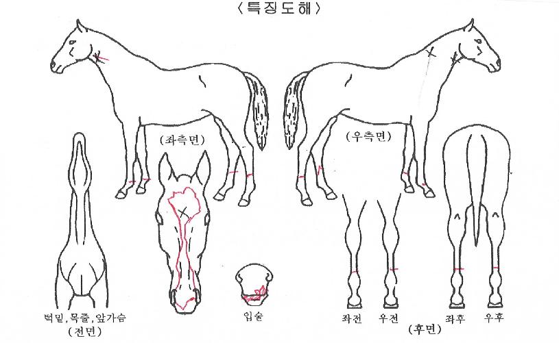 �ε����Ʈ�� ����,���,�޸�,�λ�,�ٸ��� Ư¡����