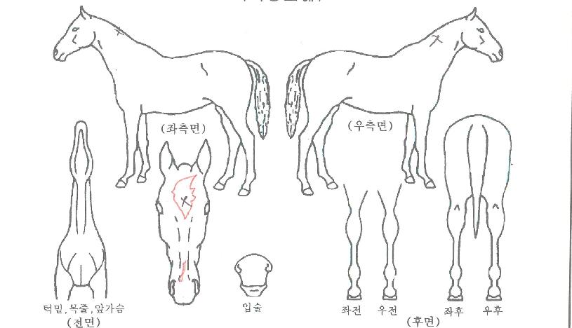 ��´������� ����,���,�޸�,�λ�,�ٸ��� Ư¡����