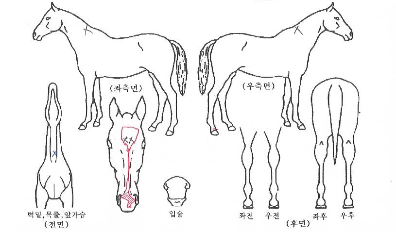 ����Ʈ������ ����,���,�޸�,�λ�,�ٸ��� Ư¡����