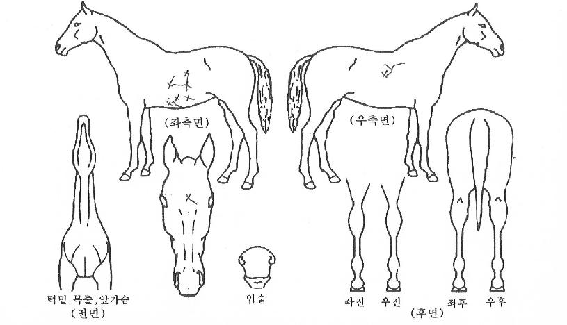 �ݿ�����ϵ��� ����,���,�޸�,�λ�,�ٸ��� Ư¡����