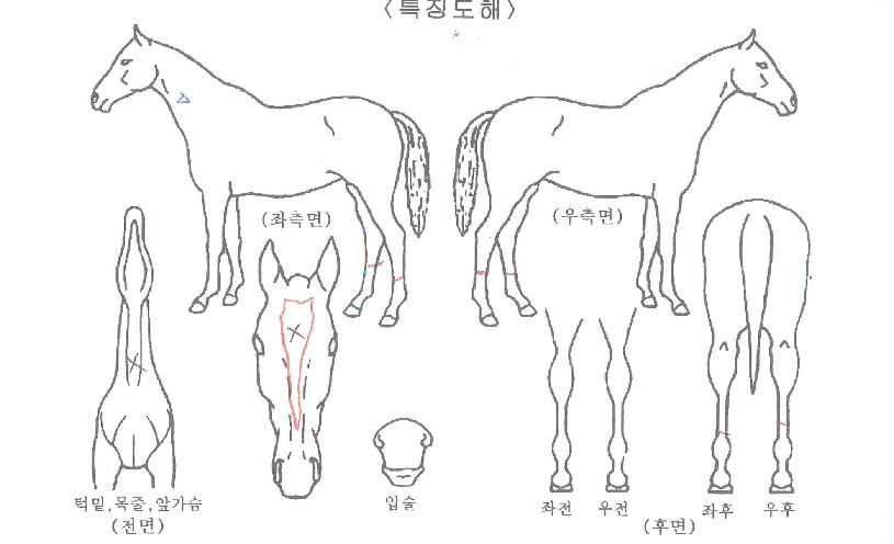 ���������� ����,���,�޸�,�λ�,�ٸ��� Ư¡����