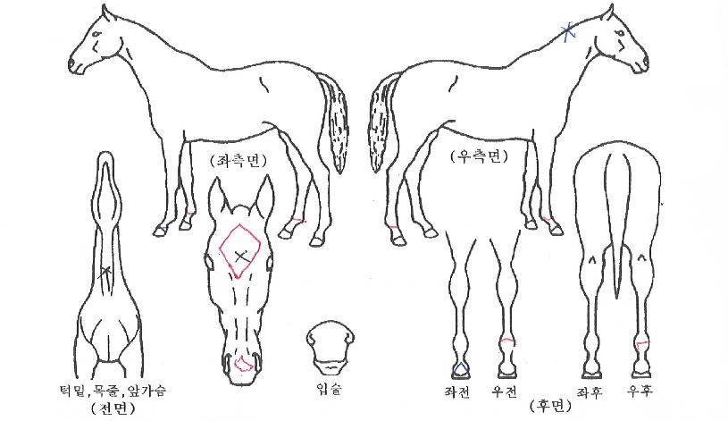 Ư���ѷ��� ����,���,�޸�,�λ�,�ٸ��� Ư¡����