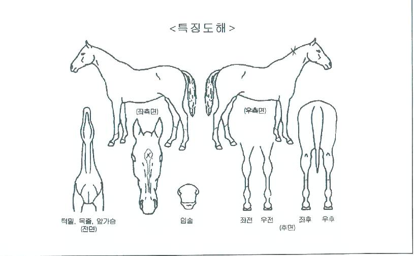 ÇԾȹéÀÌ»êÀÇ Ãø¸é,¿ì¸é,µÞ¸é,µÎ»ó,´Ù¸®ÀÇ Æ¯Â¡µµÇØ