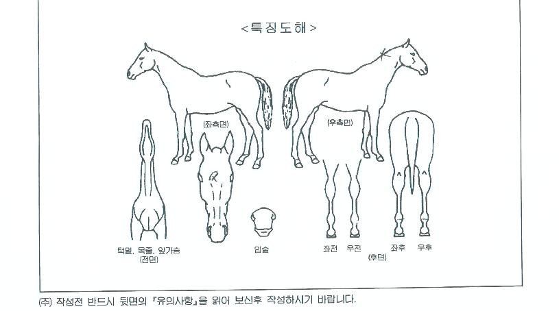 �ݳ��Ͷ��ڸ��� ����,���,�޸�,�λ�,�ٸ��� Ư¡����