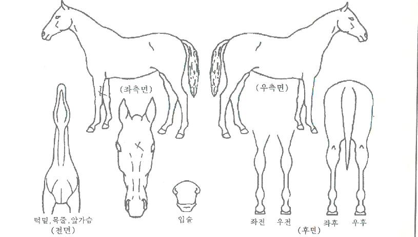 �׽������� ����,���,�޸�,�λ�,�ٸ��� Ư¡����