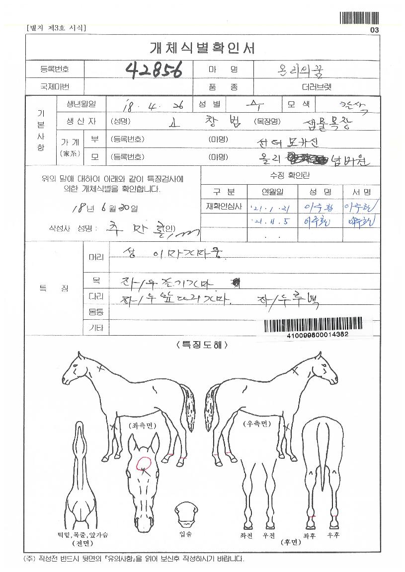 ¿Â¸®ÀDzÞÀÇ Ãø¸é,¿ì¸é,µÞ¸é,µÎ»ó,´Ù¸®ÀÇ Æ¯Â¡µµÇØ