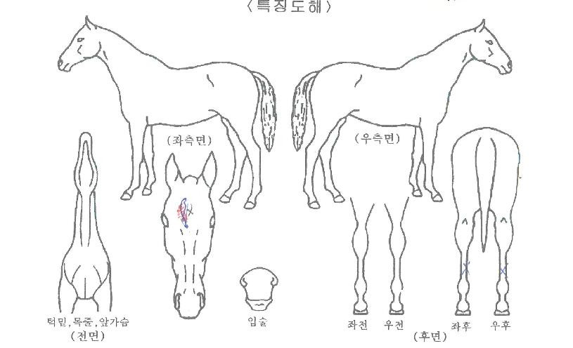 ��ǰ������� ����,���,�޸�,�λ�,�ٸ��� Ư¡����