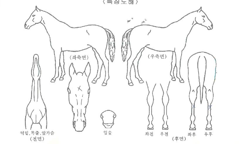 ������Ÿ�� ����,���,�޸�,�λ�,�ٸ��� Ư¡����