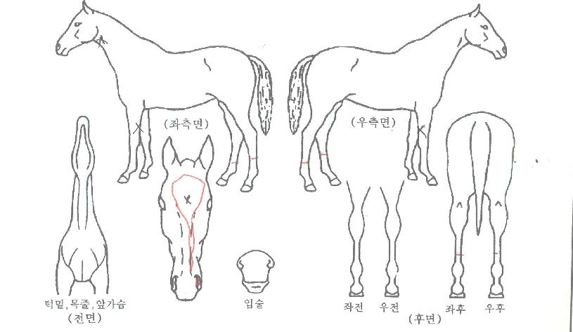 ���̽������� ����,���,�޸�,�λ�,�ٸ��� Ư¡����