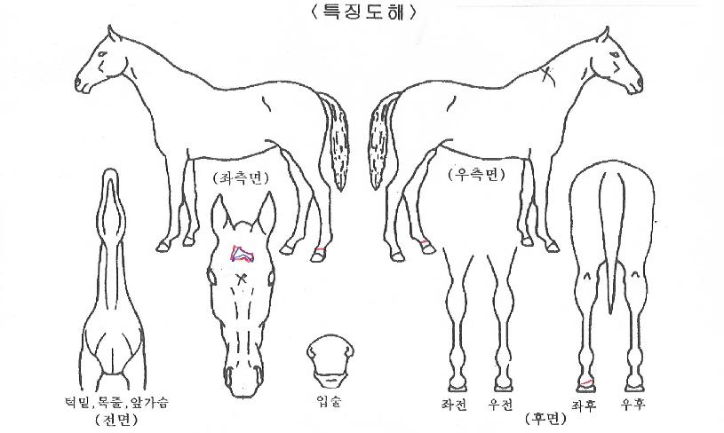 �������� ����,���,�޸�,�λ�,�ٸ��� Ư¡����