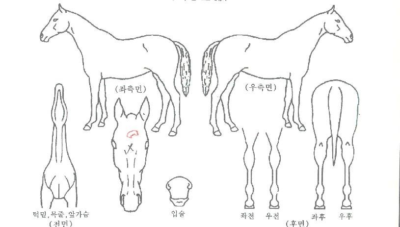 �Ŀ������� ����,���,�޸�,�λ�,�ٸ��� Ư¡����