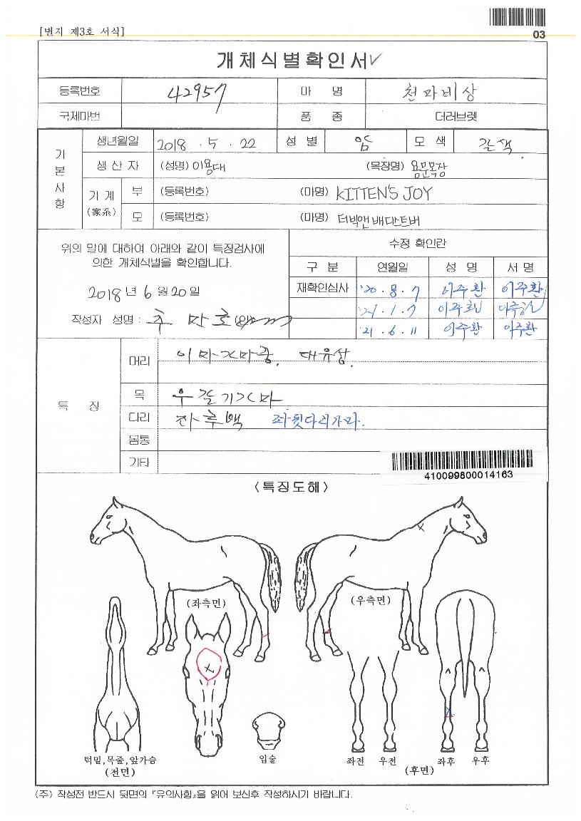 õ¸¶ºñ»óÀÇ Ãø¸é,¿ì¸é,µÞ¸é,µÎ»ó,´Ù¸®ÀÇ Æ¯Â¡µµÇØ