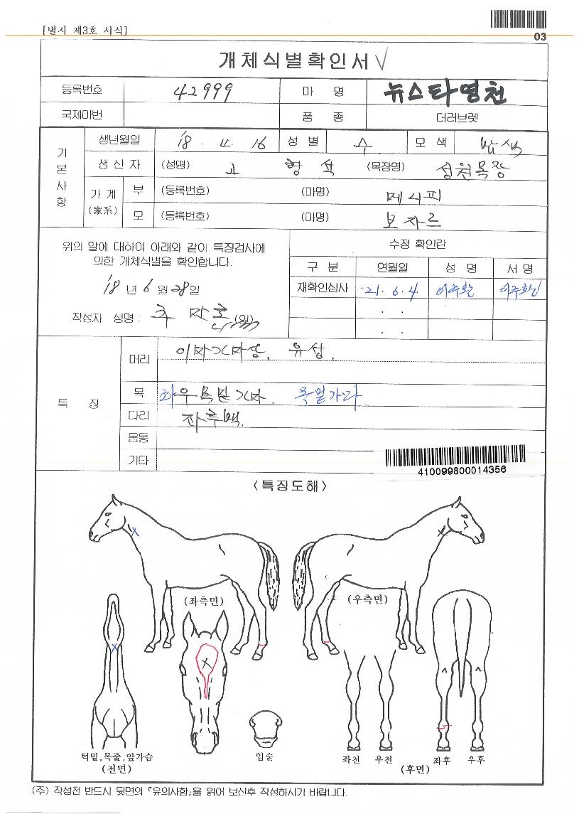 ´º½ºÅ¸¿µÃµÀÇ Ãø¸é,¿ì¸é,µÞ¸é,µÎ»ó,´Ù¸®ÀÇ Æ¯Â¡µµÇØ