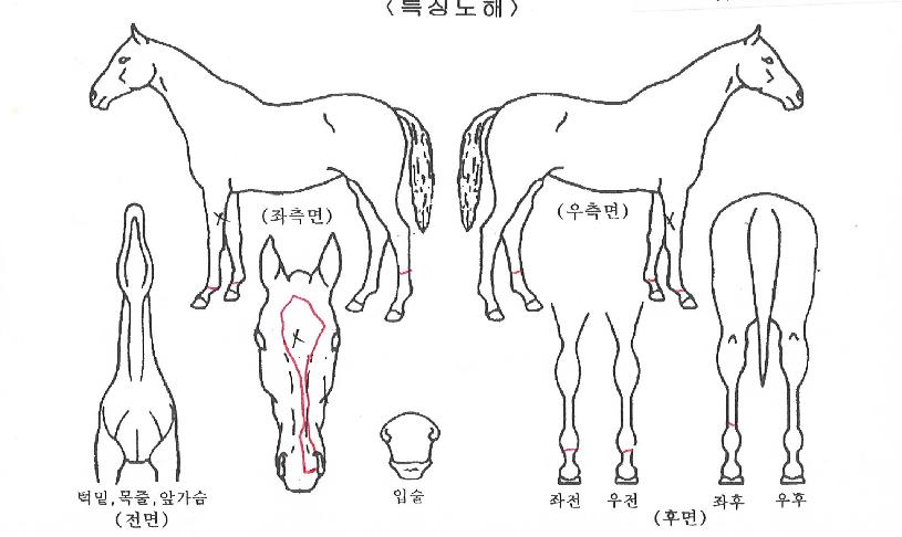 ��ġ�� ����,���,�޸�,�λ�,�ٸ��� Ư¡����