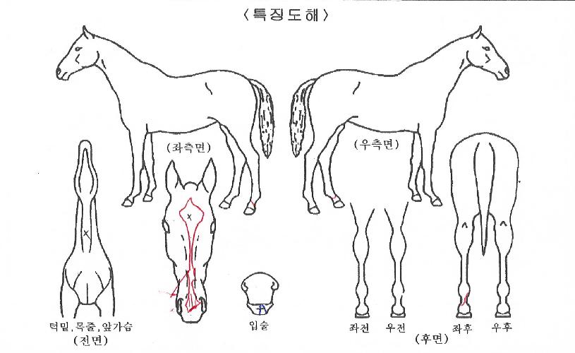 ���Ǿ���� ����,���,�޸�,�λ�,�ٸ��� Ư¡����