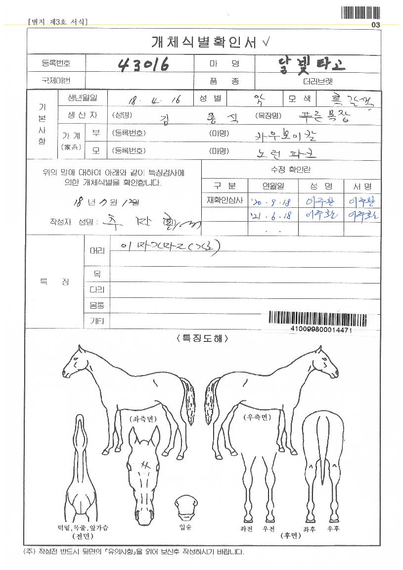 ´ÞºûŸ°íÀÇ Ãø¸é,¿ì¸é,µÞ¸é,µÎ»ó,´Ù¸®ÀÇ Æ¯Â¡µµÇØ