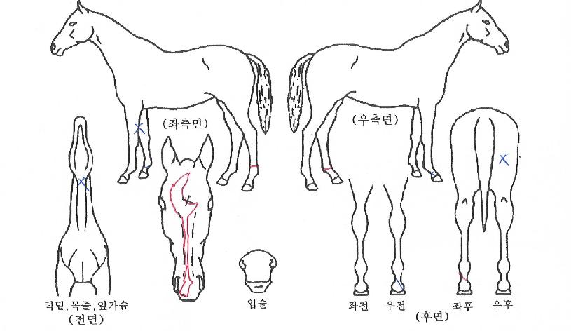 ���������� ����,���,�޸�,�λ�,�ٸ��� Ư¡����