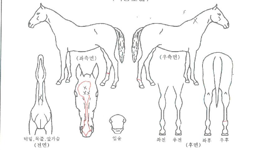 ����ž�� ����,���,�޸�,�λ�,�ٸ��� Ư¡����