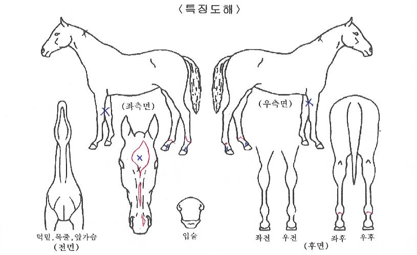 ��°����� ����,���,�޸�,�λ�,�ٸ��� Ư¡����