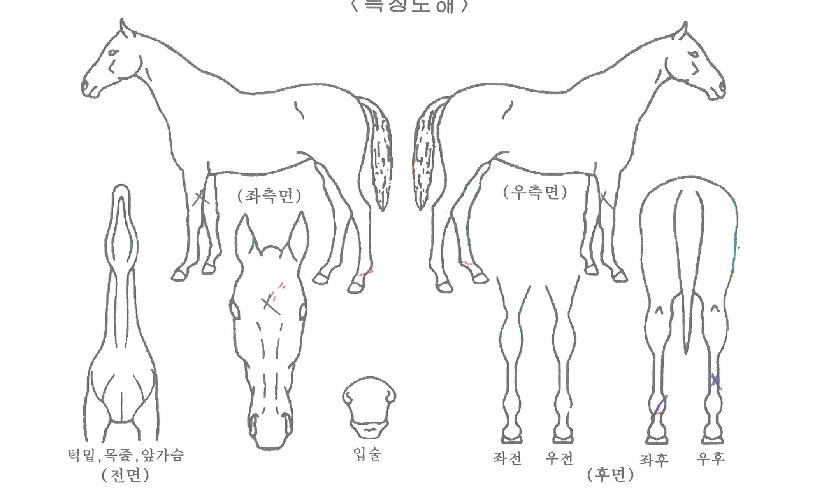 ������Ʈ���� ����,���,�޸�,�λ�,�ٸ��� Ư¡����