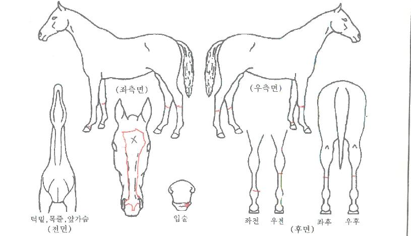 ������ŷ�� ����,���,�޸�,�λ�,�ٸ��� Ư¡����