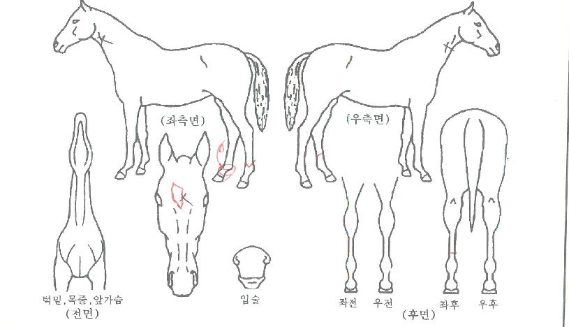 Á¤¼º´õ¿øÀÇ Ãø¸é,¿ì¸é,µÞ¸é,µÎ»ó,´Ù¸®ÀÇ Æ¯Â¡µµÇØ