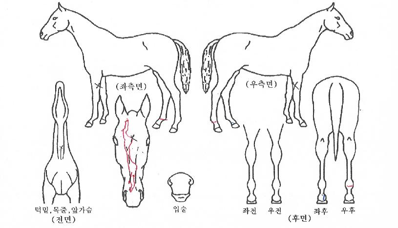 �׷���Ʈ�Ѽ��� ����,���,�޸�,�λ�,�ٸ��� Ư¡����