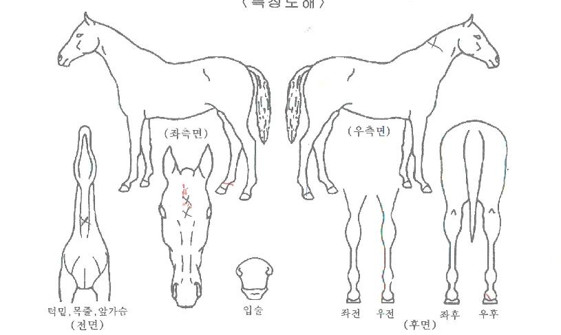 ť�ǵ�����Ʈ�� ����,���,�޸�,�λ�,�ٸ��� Ư¡����