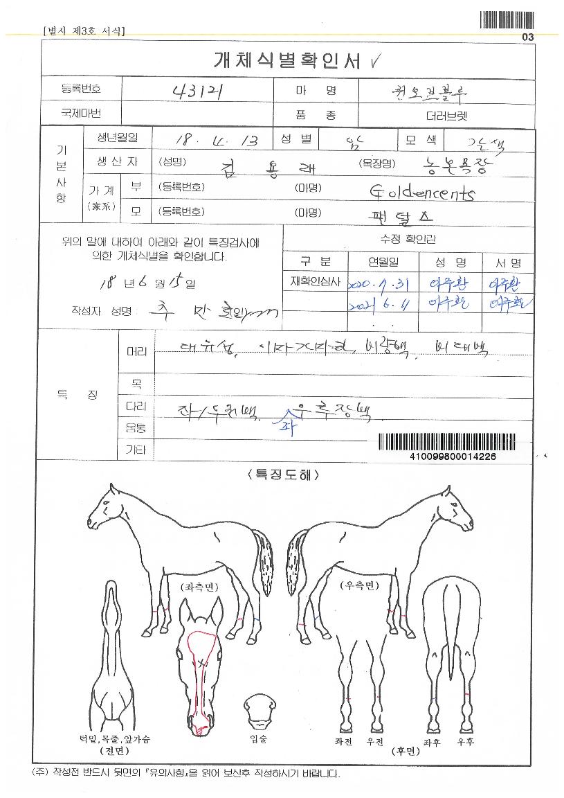 Äý¿Àºêºí·çÀÇ Ãø¸é,¿ì¸é,µÞ¸é,µÎ»ó,´Ù¸®ÀÇ Æ¯Â¡µµÇØ