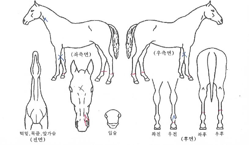 žƼ ,,޸,λ,ٸ Ư¡