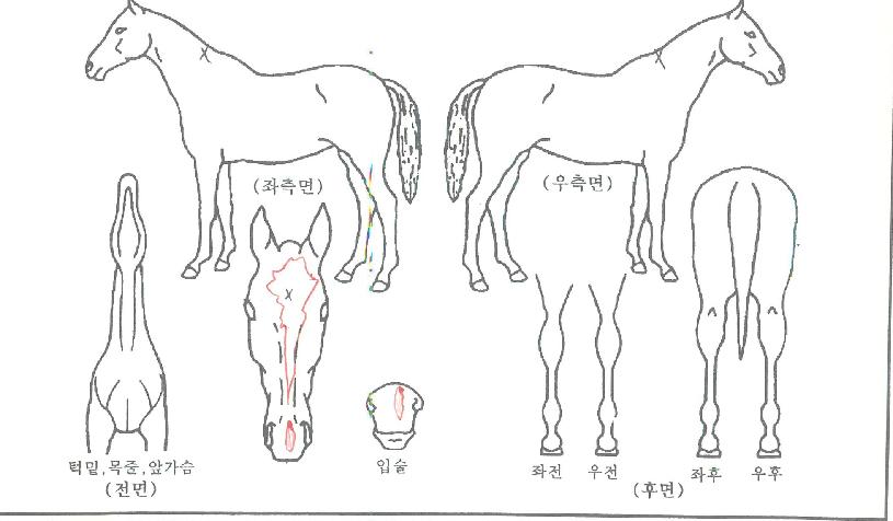 ����� ����,���,�޸�,�λ�,�ٸ��� Ư¡����