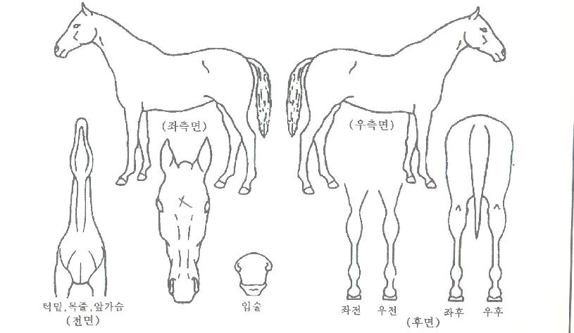 �ݺ������� ����,���,�޸�,�λ�,�ٸ��� Ư¡����