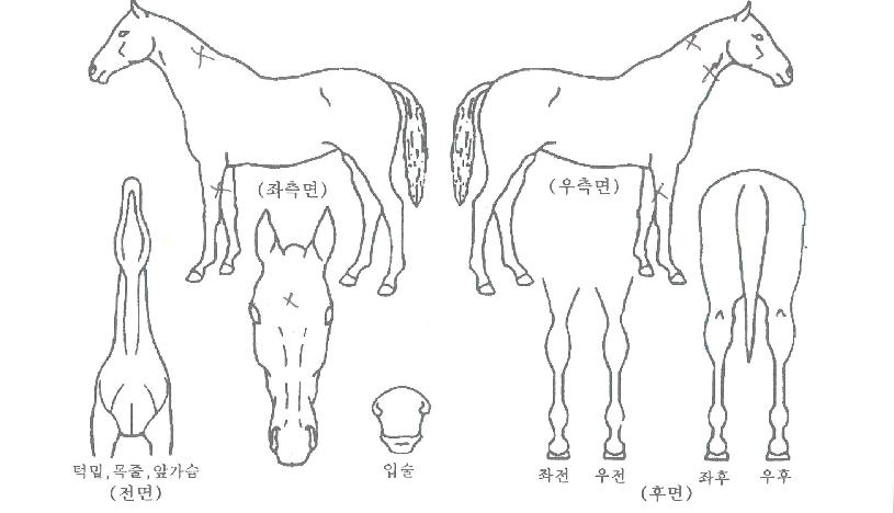 ������Ʈ�� ����,���,�޸�,�λ�,�ٸ��� Ư¡����