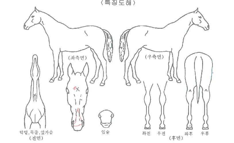 ����Ʈ������ ����,���,�޸�,�λ�,�ٸ��� Ư¡����