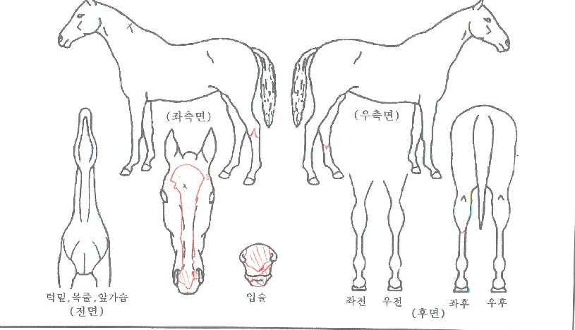 ũ�罺�������� ����,���,�޸�,�λ�,�ٸ��� Ư¡����