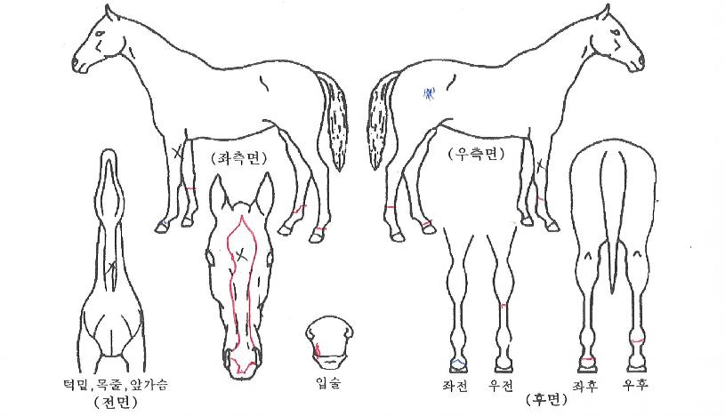 �������� ����,���,�޸�,�λ�,�ٸ��� Ư¡����