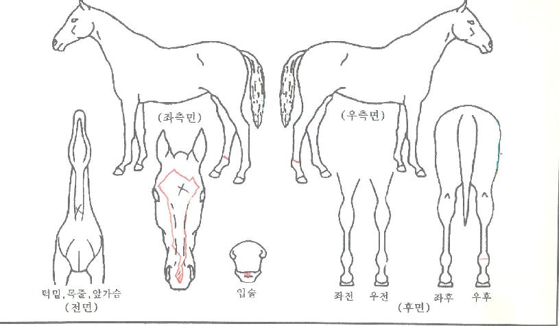 �������� ����,���,�޸�,�λ�,�ٸ��� Ư¡����