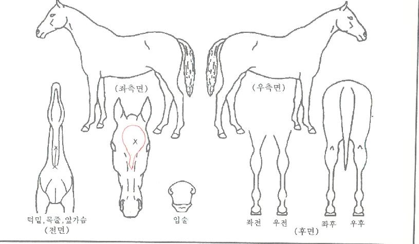 ��ĵ������ ����,���,�޸�,�λ�,�ٸ��� Ư¡����