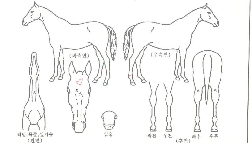 �������� ����,���,�޸�,�λ�,�ٸ��� Ư¡����