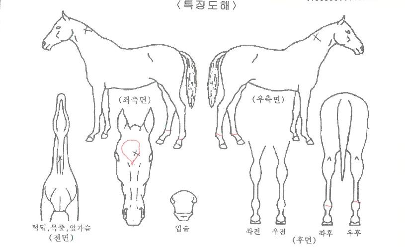 ������Ʈ������ ����,���,�޸�,�λ�,�ٸ��� Ư¡����