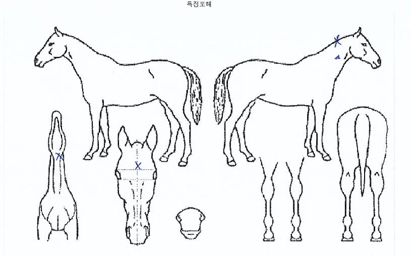 ��������� ����,���,�޸�,�λ�,�ٸ��� Ư¡����