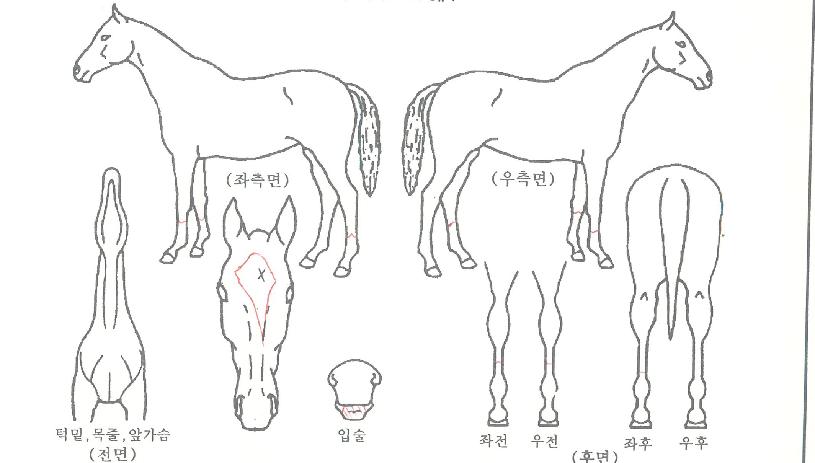 ��������Ʈ���� ����,���,�޸�,�λ�,�ٸ��� Ư¡����