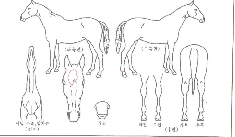 �������� ����,���,�޸�,�λ�,�ٸ��� Ư¡����